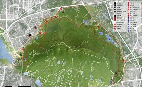 2021年南京規(guī)劃來(lái)了 過(guò)江通道 新建景區(qū)還有一大批學(xué)校...