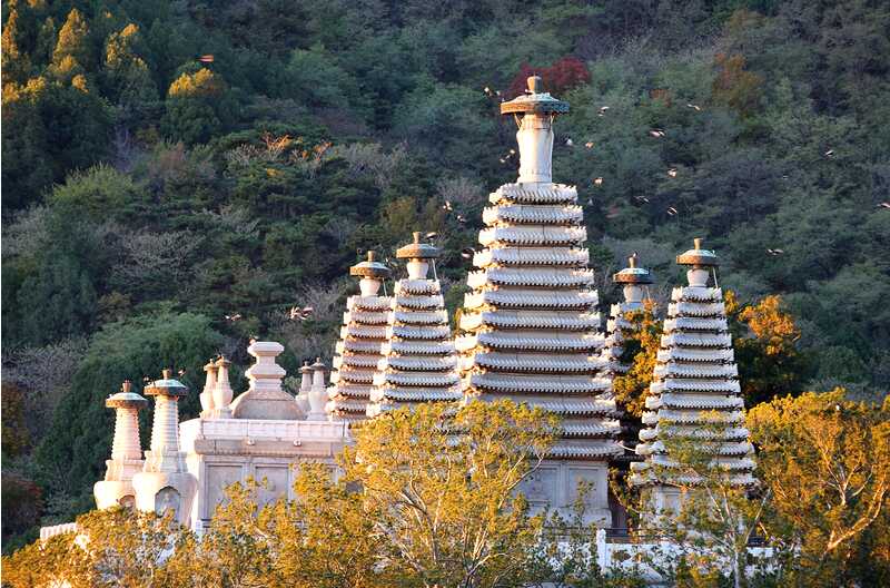 20多年來首次"封閉修繕",香山碧云寺要修啥_京報網