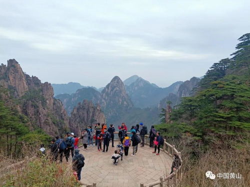黃山風景區管委會 清明小長假第三天景區游覽秩序井然