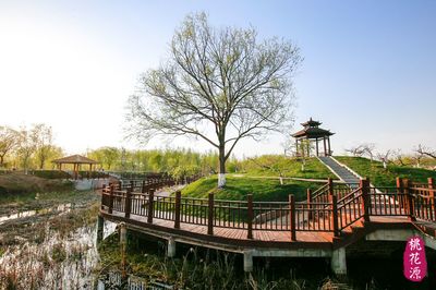 黃河故道桃花源精心打造農旅結合生態園區