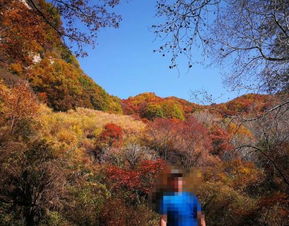 2019平山駝梁風(fēng)景區(qū)游玩全攻略 門票價格、游覽路線、地址與服務(wù)詳解